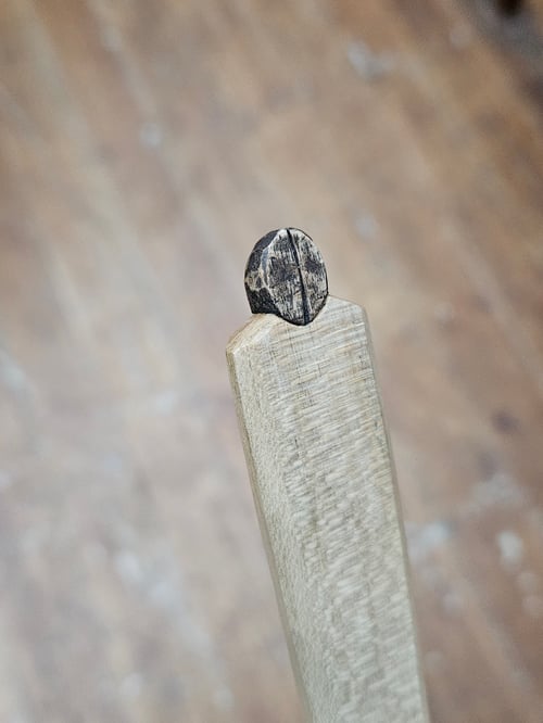 Image of Coffee Bean Scoop Sycamore 