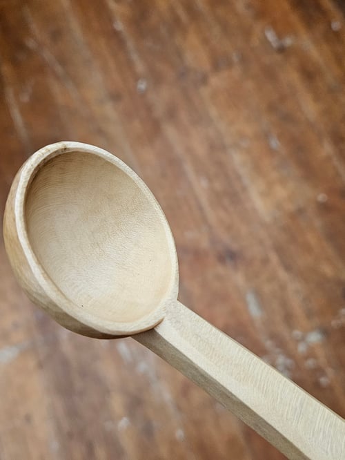Image of Coffee Bean Scoop Sycamore 
