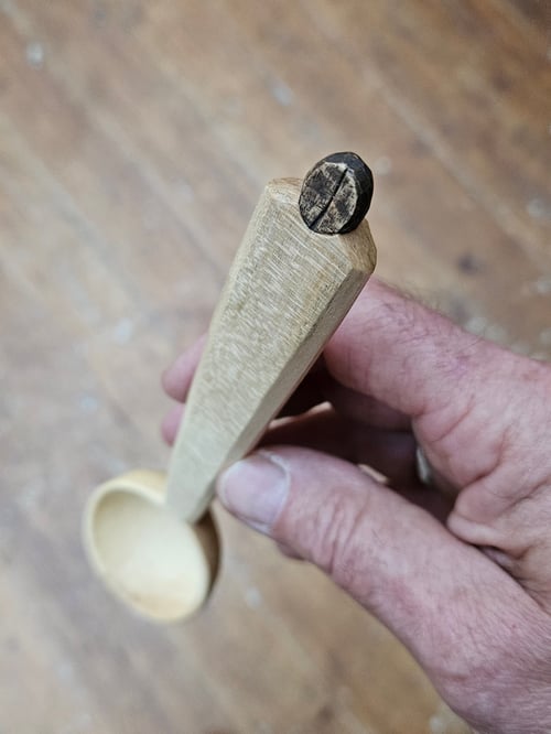 Image of Coffee Bean Scoop Sycamore 