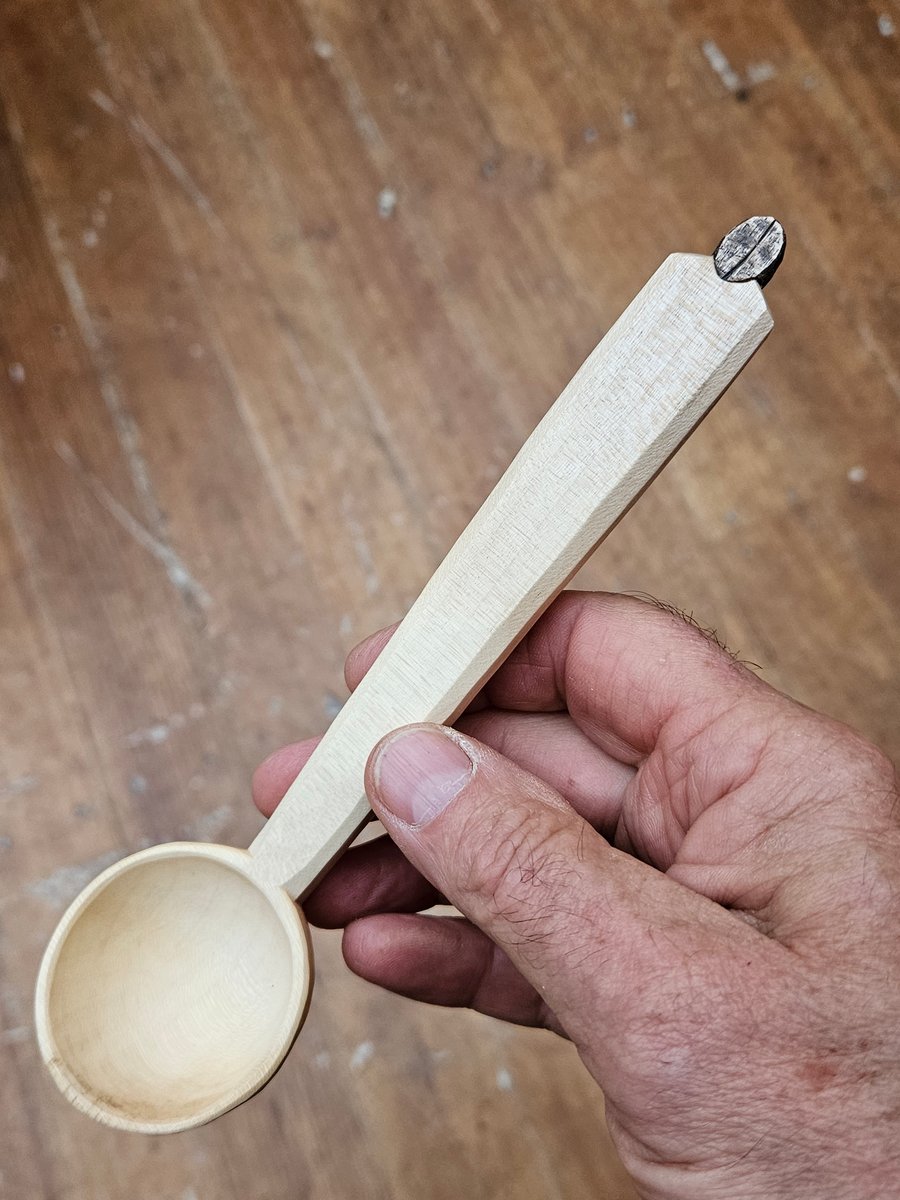 Image of Coffee Bean Scoop Sycamore 