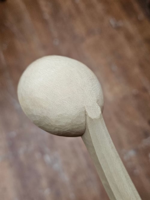 Image of Coffee Bean Scoop Sycamore 