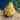 Golden Pear