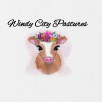 Image 1 of Windy City Pastures Ladies T