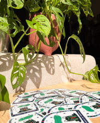 Image 3 of Gardien du nénuphar 🌿 - Sticker