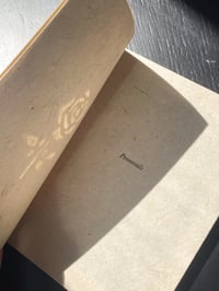 Image 2 of Perennials 