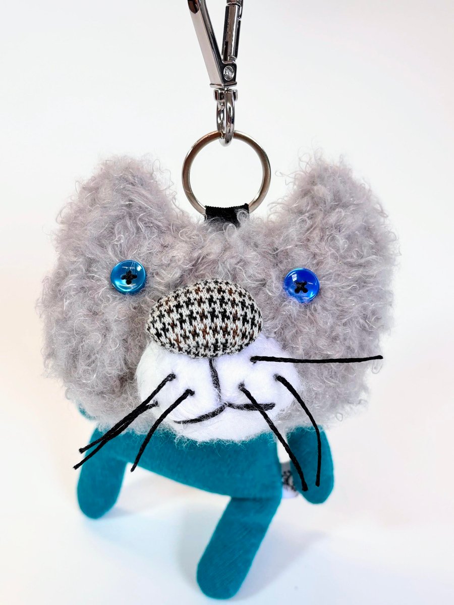 Image of Luna the dreamy cat