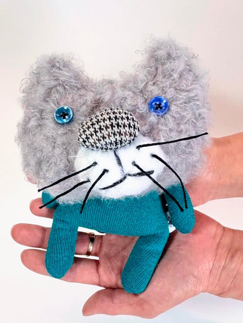 Image of Luna the dreamy cat