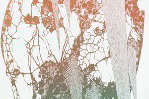 Image of Feuille liquide