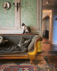 Image 7 of WORKSHOP WEEKEND - SYNAESTHESIA  ART , 20th and 21st JUNE 2026