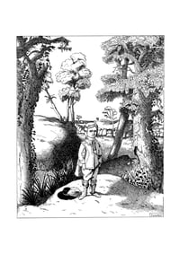 Image 5 of Lord Minimus