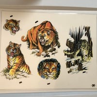 Image 1 of 1990’s big cat tattoo flash sheet 11x14