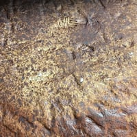 Image 2 of Primitive Shino plate <<<
