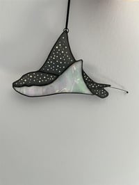 Stingray