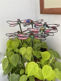 Image 5 of Plant Stakes