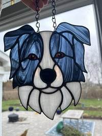 Image 1 of Dog Portrait