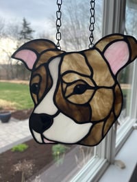 Image 3 of Dog Portrait