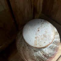 Image 3 of Epic shino tea jar<<<<<
