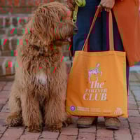 Image 5 of Yellow - Cool Dogs of DC Yellow Tote bag 