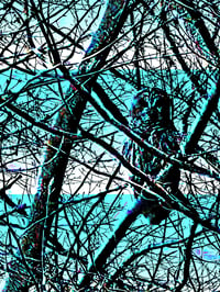 Image 5 of Transmissions from the Land of Phantoms