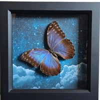 Celestial - Blue Morpho Butterfly