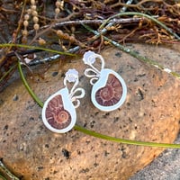 Image 2 of Becoming | Ammonite Earrings