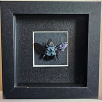 Framed - Blue Carpenter Bee