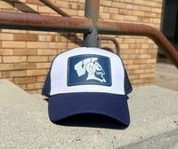 Wayne Devils Navy Hat