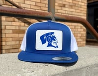 Wayne Devils Flat Bill Hat