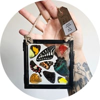 Image 2 of Butterfly & Moth Wing Hanging Small 
