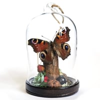 Image 1 of Peacock Butterfly Mini Woodland Hanging Dome