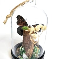 Image 2 of Peacock Butterfly Mini Woodland Hanging Dome