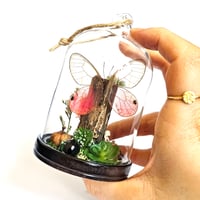Image 2 of Blushing Phantom Butterfly Mini Woodland Hanging Dome