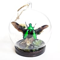 Image 1 of Green Flower Beetle Mini Woodland Hanging Globe