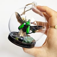 Image 2 of Green Flower Beetle Mini Woodland Hanging Globe