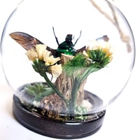 Image 3 of Green Flower Beetle Mini Woodland Hanging Globe