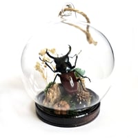Image 1 of Antler Stag Beetle Mini Woodland Hanging Globe