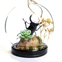 Image 2 of Antler Stag Beetle Mini Woodland Hanging Globe