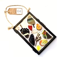 Image 1 of Butterfly & Moth Wing Hanging Medium II
