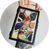 Image 2 of Butterfly & Moth Wing Hanging Medium II