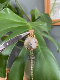 Image 2 of Gold Mother Of Pearl Coin Crystal Necklace