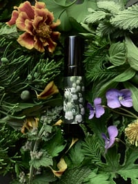 Image 1 of May Day Perfume (Tomato Leaf, Basil, Birch, Linden)