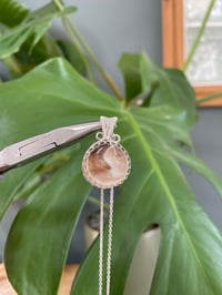 Image 1 of Silver Mother Of Pearl Coin Crystal Necklace