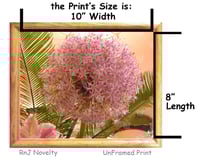 Image 3 of RnJ_Allium UnFramed Print