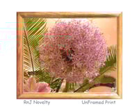Image 1 of RnJ_Allium UnFramed Print