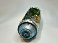 Image 3 of Blue Rust 