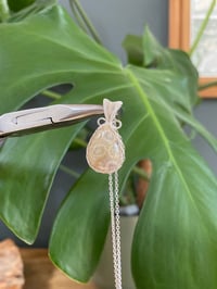 Image 3 of Silver Coral Jade Teardrop Crystal Necklace