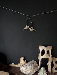 Image 3 of Night life 