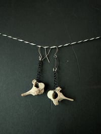 Image 1 of Night life 