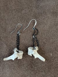 Image 5 of Night life 