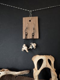 Image 1 of Nocturnal 